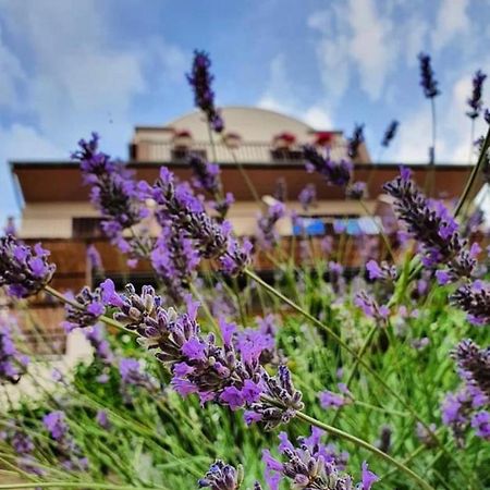 Hotel B&B Chamberlain Milna  Kültér fotó